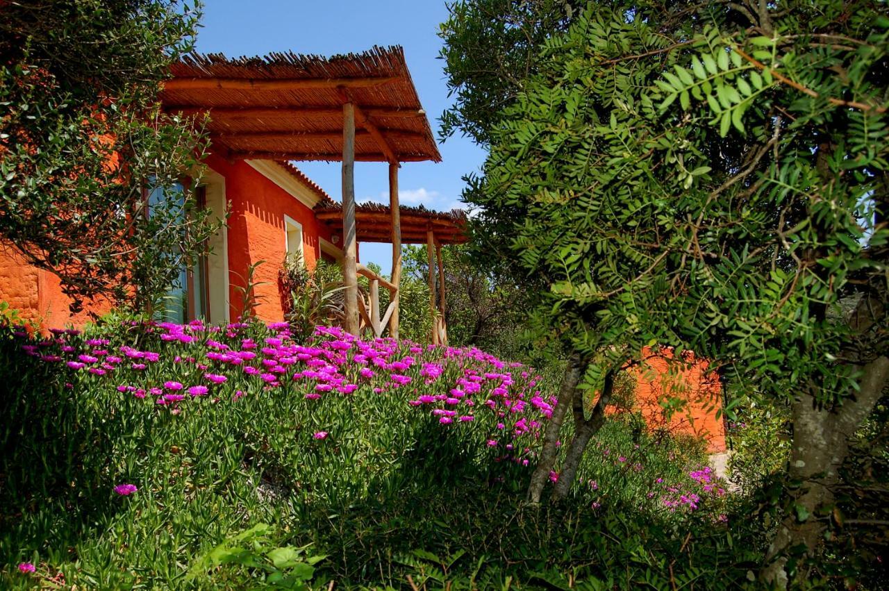 Hotel Aldiola Country Resort Sant’Antonio di Gallura Exterior foto